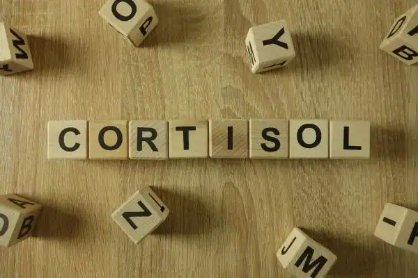 The Hidden Connection: How Stress Shapes Your Fitness and Body Composition 2 Image saying "Cortisol" and how stress Solihull impacts your wellbeing and bodies shape